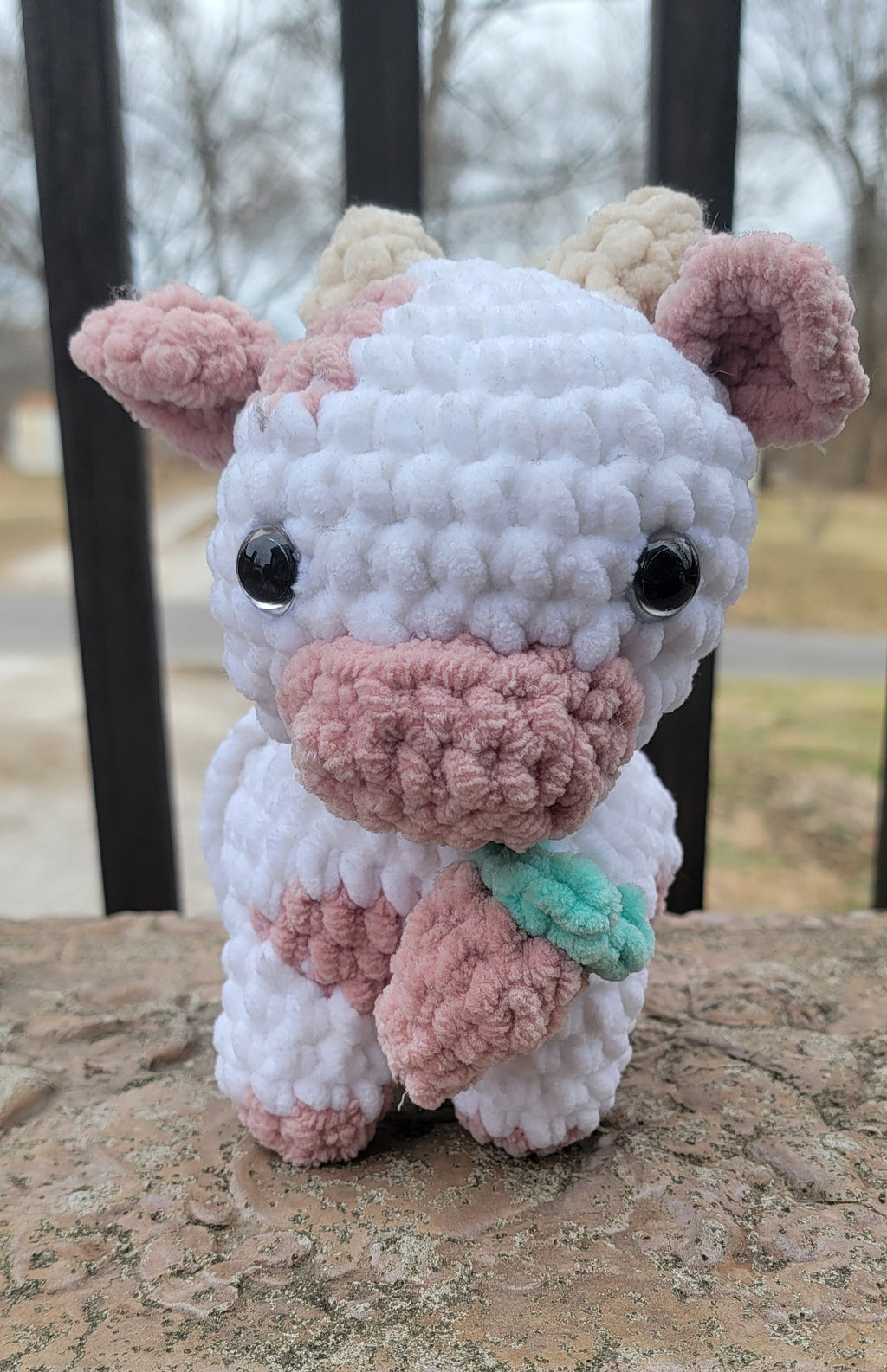 Homemade Baby Blanket & Strawberry Cow